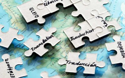 The Professional Translator: What We Look For