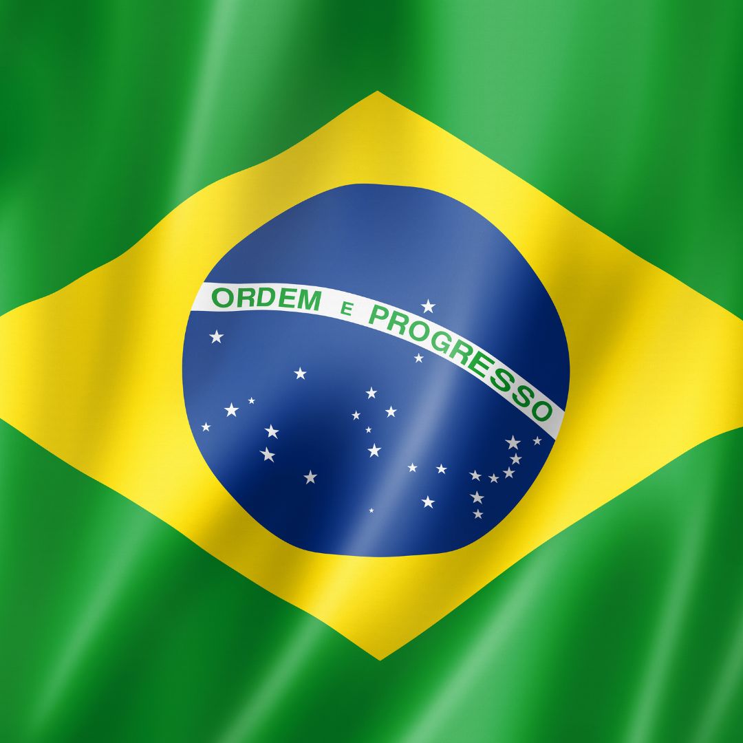brazilian portuguese voice over